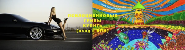 дживик Алзамай