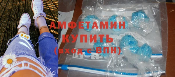 шишки Алексин