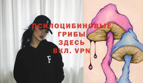 шишки Алексин