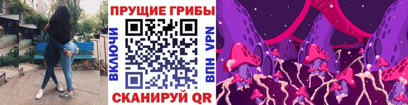блэк спрут маркетплейс Медынь Псилоцибиновые грибы GOLDEN TEACHER